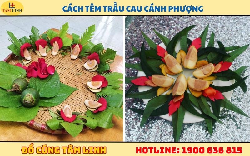 cách têm trầu cau cánh phượng