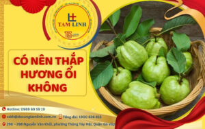 Có nên thắp hương ổi không