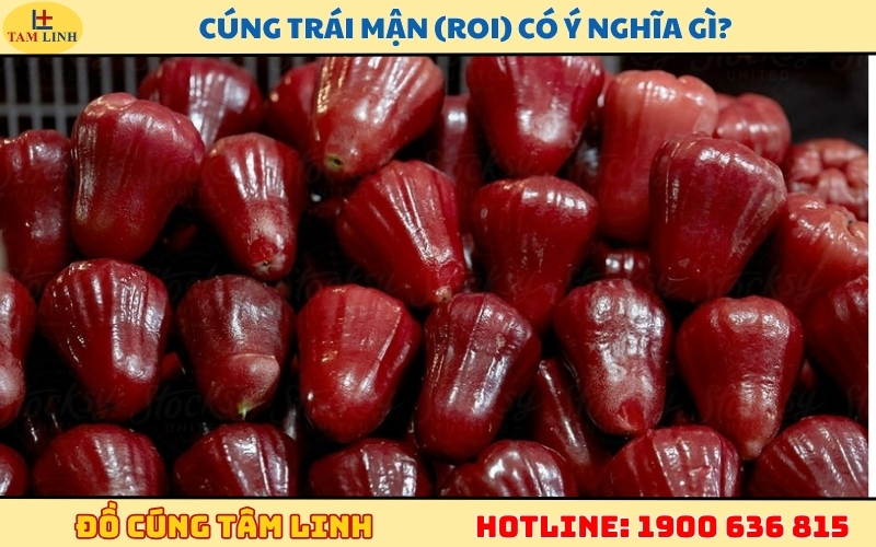 cung-trai-man-roi-co-y-nghia-gi
