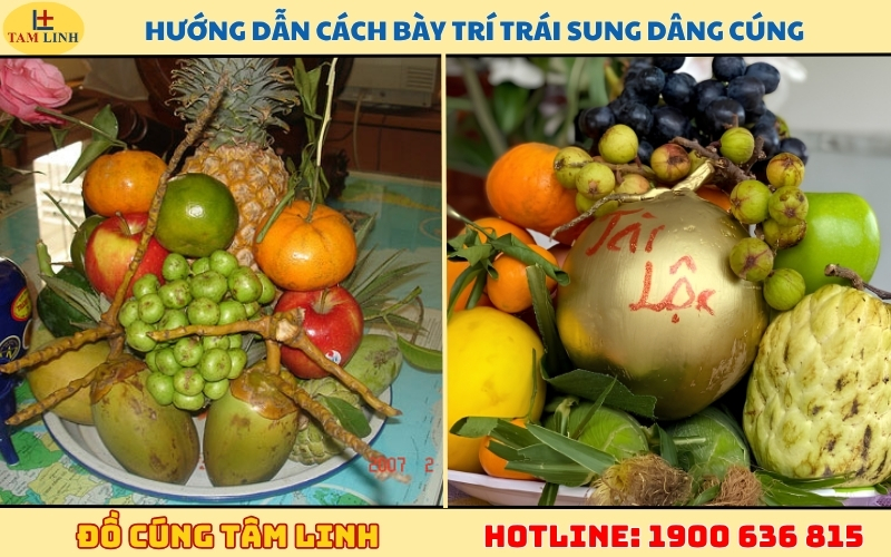 huong-dan-cach-bay-tri-trai-sung-dang-cung