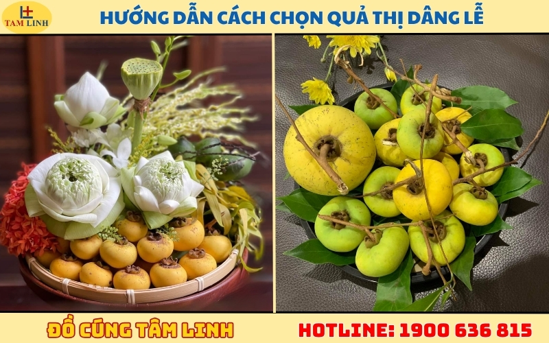 huong-dan-cach-chon-qua-thi-dang-le.