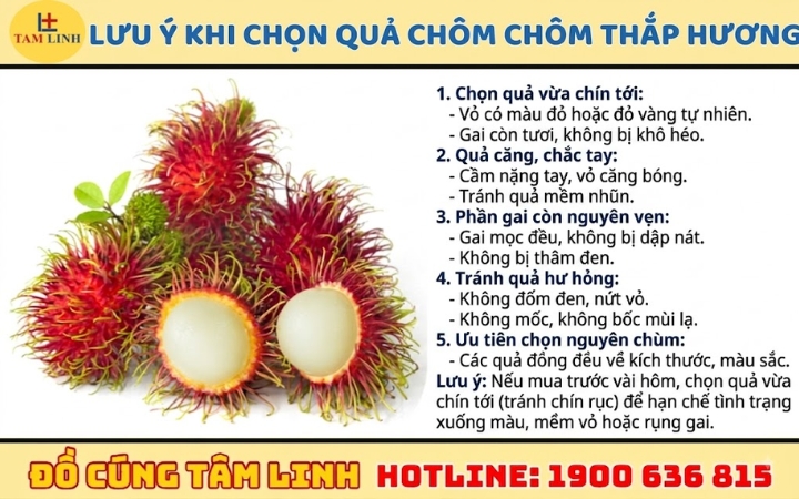 lưu ý khi chọn quả chôm chôm thắp hương