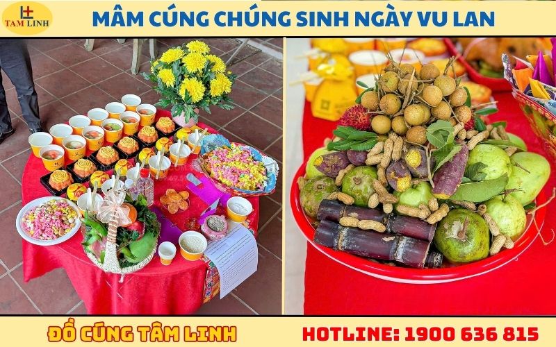 mam cung chung sinh ngay vu lan