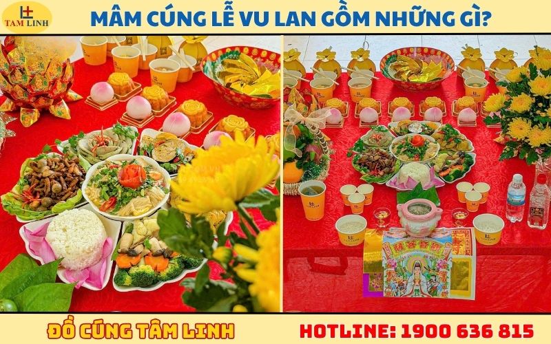 mam cung le vu lan gom nhung gi
