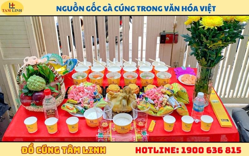 Nguồn gốc gà cúng trong văn hóa Việt