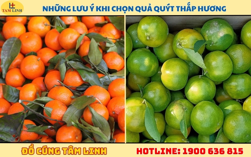 nhung-luu-y-khi-chon-qua-quyt-thap-huong