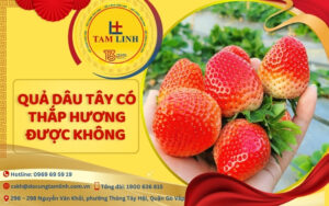 quả dâu tây có thắp hương được không