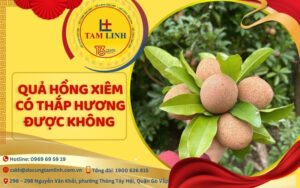 quả hồng xiêm có thắp hương được không