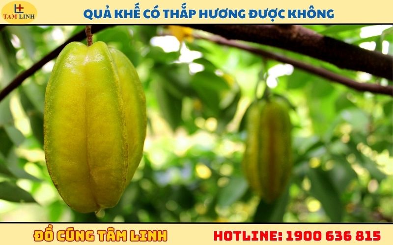 qua khe co thap huong duoc khong 1
