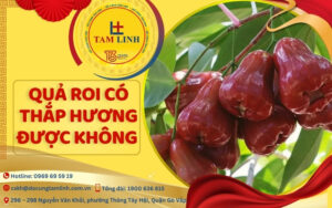quả roi thắp hương được không