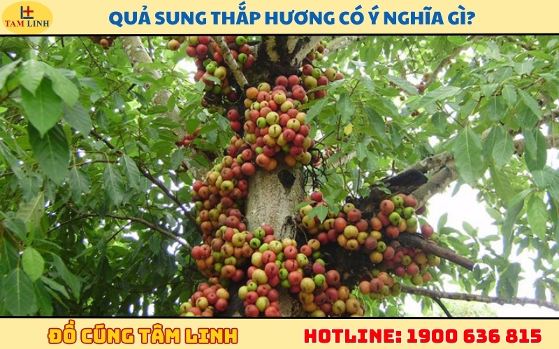 qua-sung-thap-huong-co-y-nghia-gi