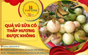quả vú sữa có thắp hương được không