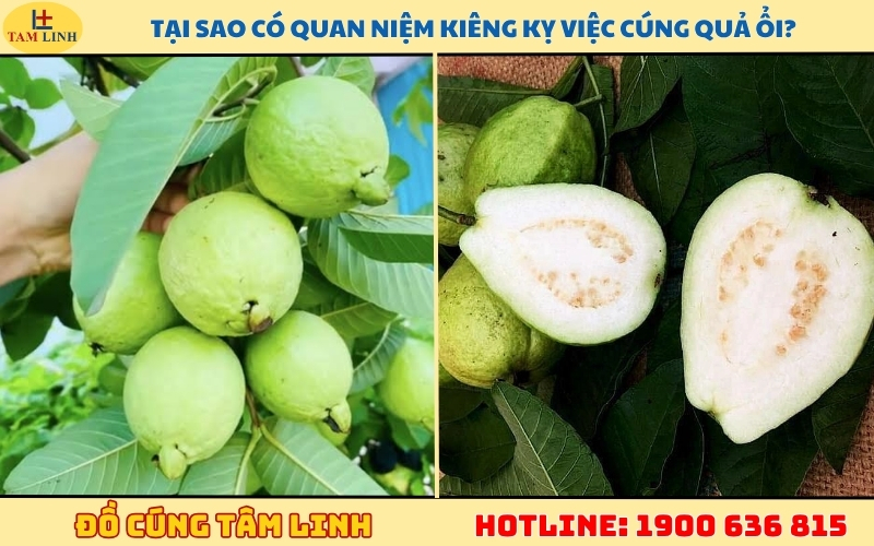 tai-sao-co-quan-niem-kieng-ky-viec-cung-qua-oi