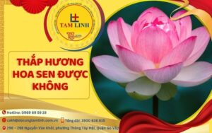 thap huong hoa sen duoc khong 1
