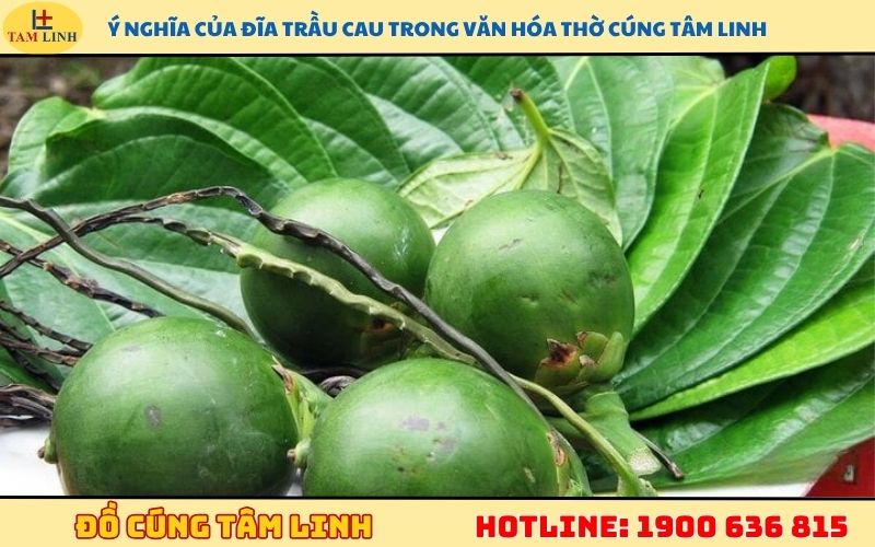 Ý nghĩa của đĩa trầu cau trong văn hóa thờ cúng tâm linh