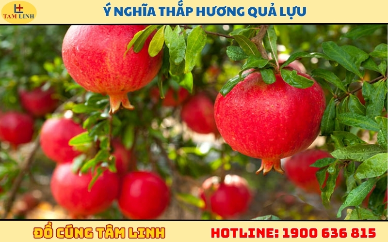 y-nghia-thap-huong-qua-luu