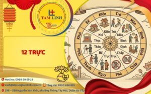 12 trực là gì
