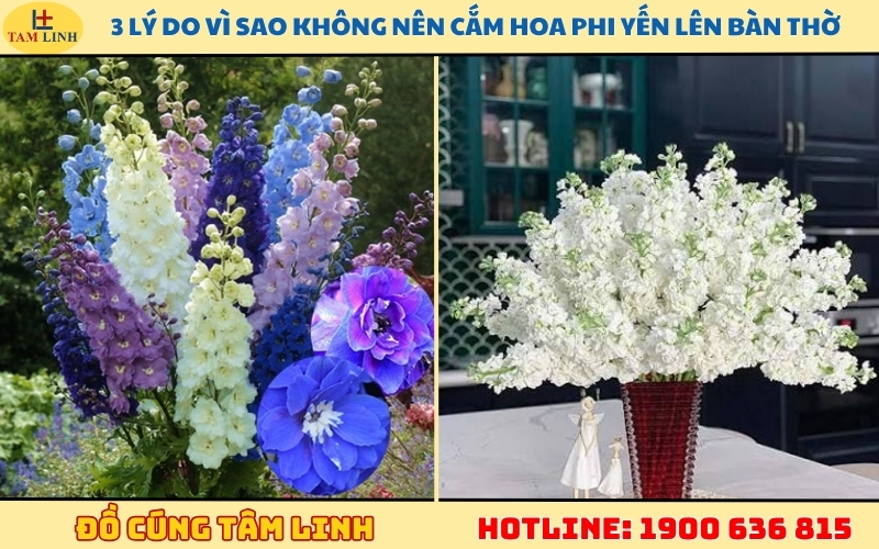 3-ly-do-vi-sao-khong-nen-cam-hoa-phi-yen-len-ban-tho