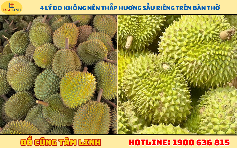 4 lý do không nên thắp hương sầu riêng trên bàn thờ
