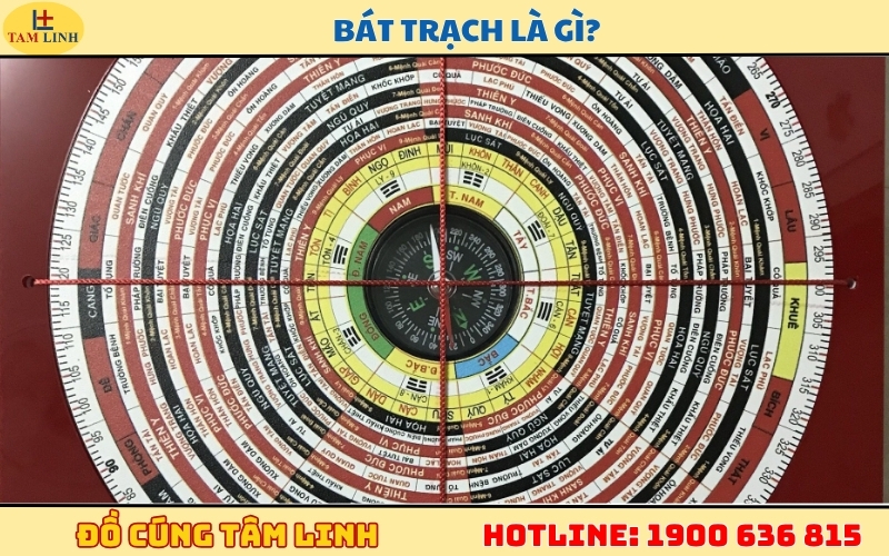 bat-trach-la-gi