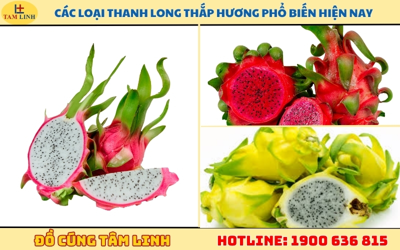 cac-loai-thanh-long-thap-huong-pho-bien-hien-nay