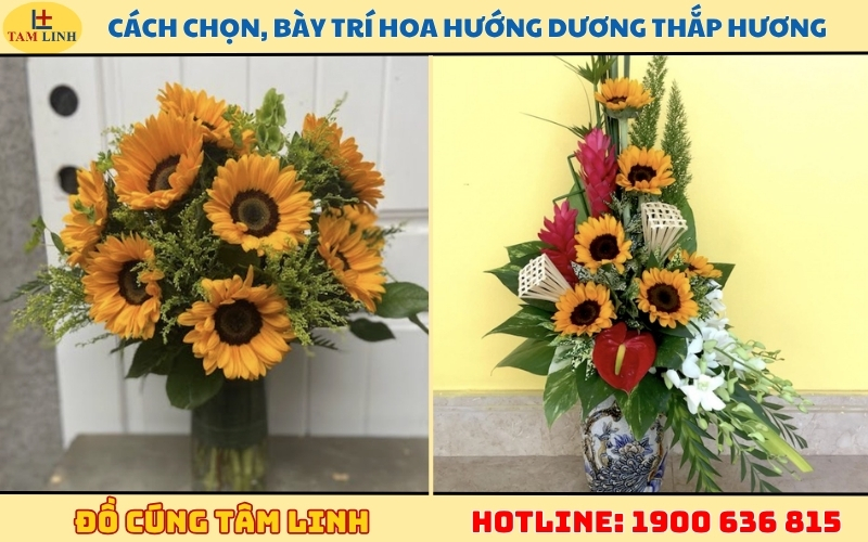 cach-chon-bay-tri-hoa-huong-duong-thap-huong