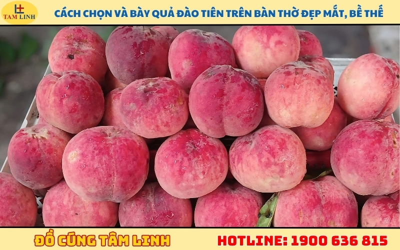 cach-chon-va-bay-qua-dao-tien-tren-ban-tho-dep-mat-be-the