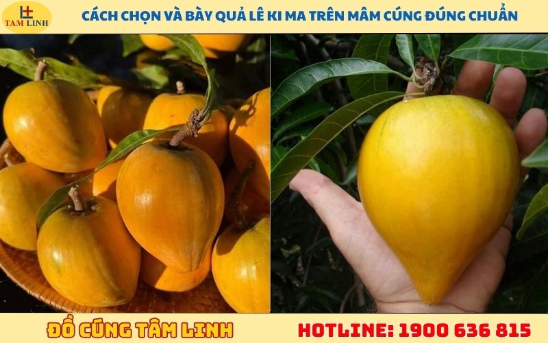 Cách chọn và bày quả lê ki ma trên mâm cúng đúng chuẩn