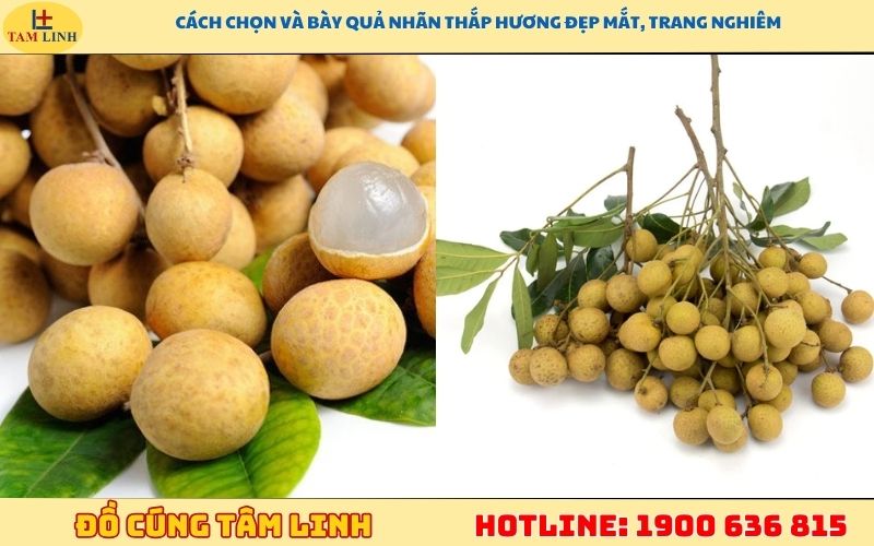 Cách chọn và bày quả nhãn thắp hương đẹp mắt, trang nghiêm