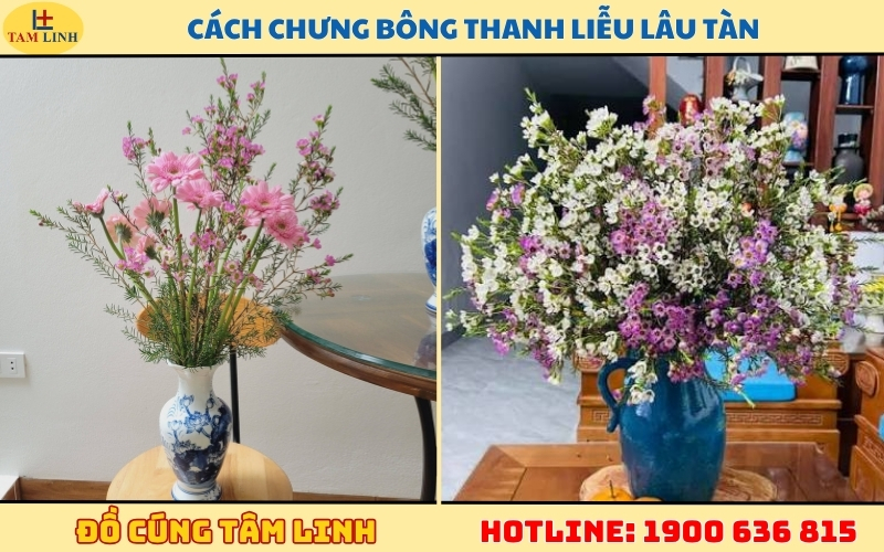 cach-chung-bong-thanh-lieu-lau-tan