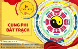 cung phi bát trạch