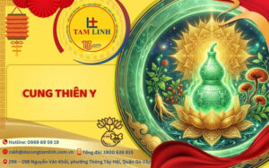cung thien y la gi