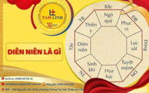 diên niên là gì