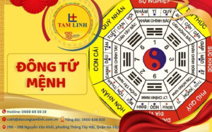 đông tứ mệnh
