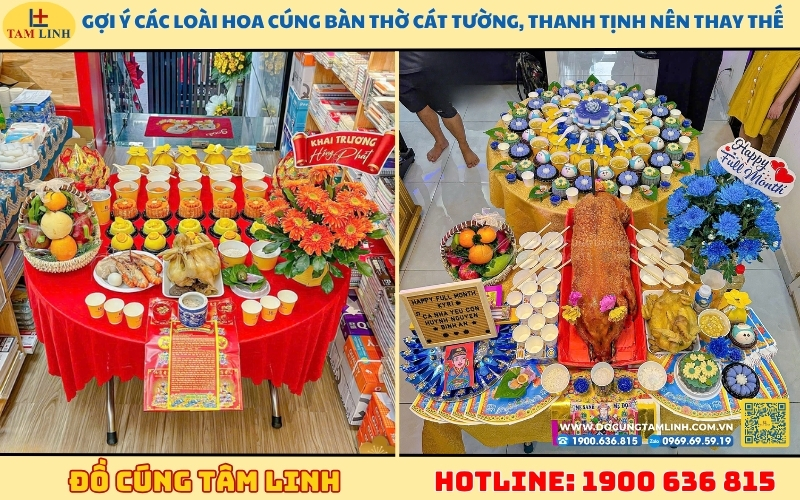 goi-y-cac-loai-hoa-cung-ban-tho-cat-tuong-thanh-tinh-nen-thay-the