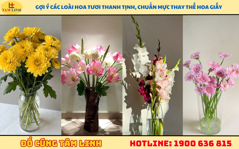 Gợi ý các loài hoa tươi thanh tịnh, chuẩn mực thay thế hoa giấy