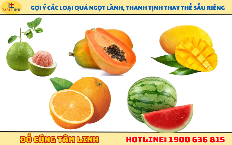 Gợi ý các loại quả ngọt lành, thanh tịnh thay thế sầu riêng