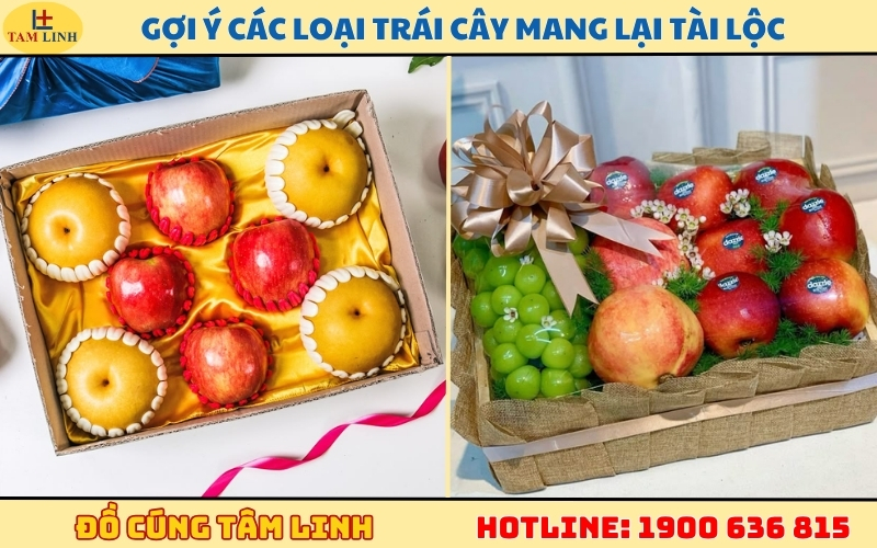 goi y cac loai trai cay mang lai tai loc