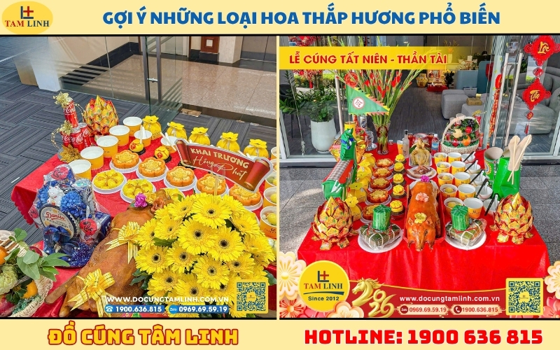 goi-y-nhung-loai-hoa-thap-huong-pho-bien