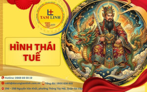 hình thái tuế
