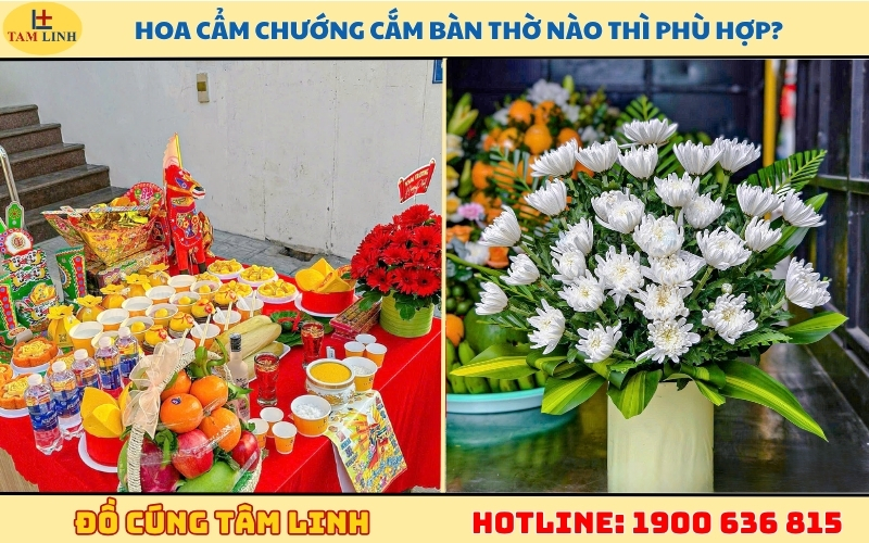 hoa-cam-chuong-cam-ban-tho-nao-thi-phu-hop