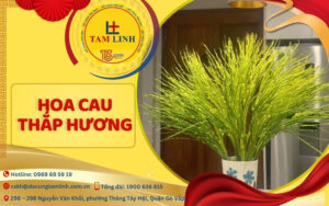 hoa cau thắp hương