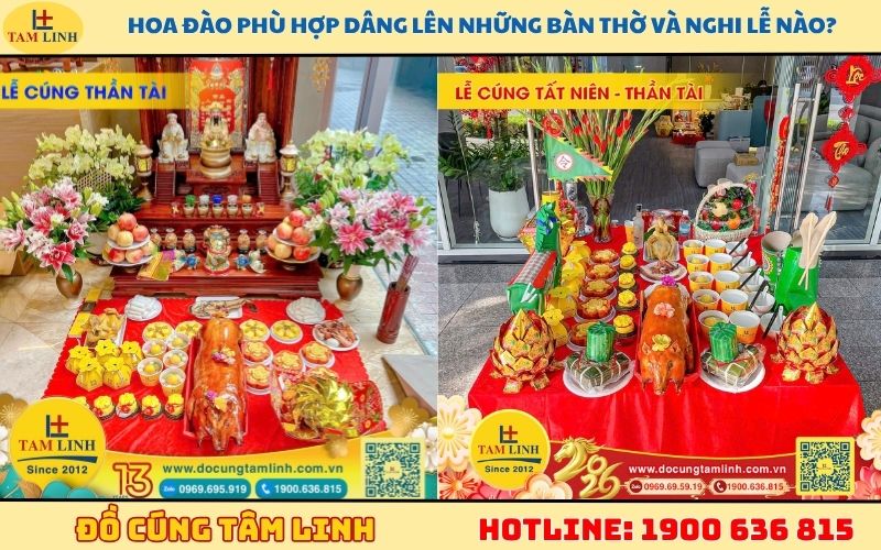 Hoa đào phù hợp dâng lên những bàn thờ và nghi lễ nào?