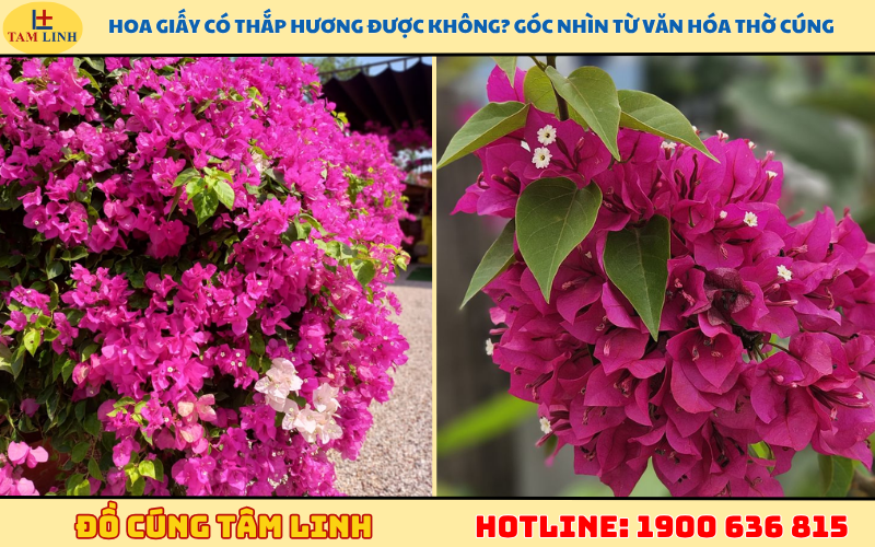 Hoa giấy có thắp hương được không_ Góc nhìn từ văn hóa thờ cúng
