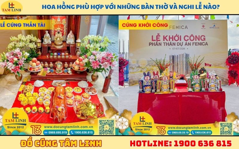Hoa hồng phù hợp với những bàn thờ và nghi lễ nào?