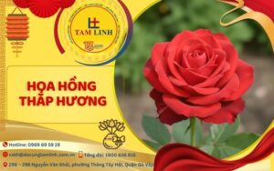 hoa hồng thắp hương
