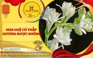 hoa huệ có thắp hương được không