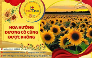 hoa hướng dương có cúng được không