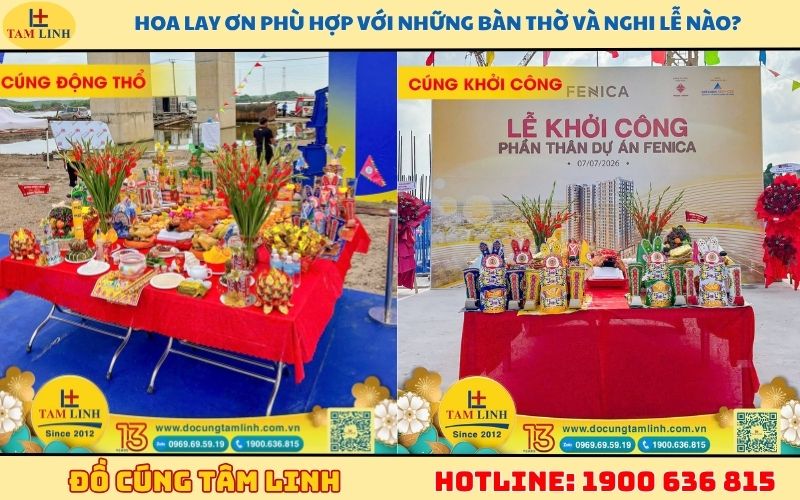 Hoa lay ơn phù hợp với những bàn thờ và nghi lễ nào?