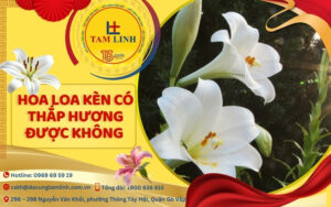 hoa loa kèn có thắp hương được không